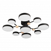 Потолочная люстра LED4U L3201-780 BK 