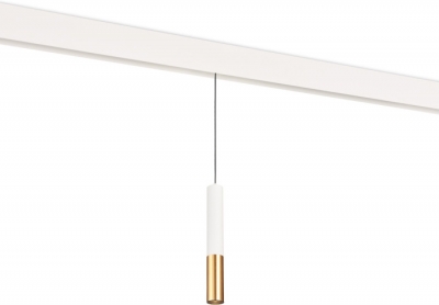 Трековый светильник Tandem DL20298WW5WS