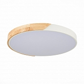 Потолочный светильник Festa SLE200952-01 