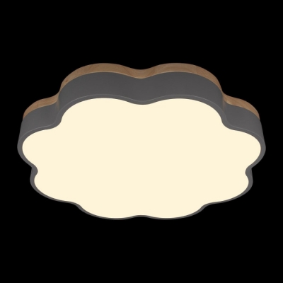 Потолочный светильник Axel 10225/36 Grey