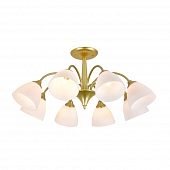 Потолочная люстра Ilex ES0000034 