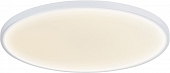 Потолочный светильник Disco DL20171R24NW1W 