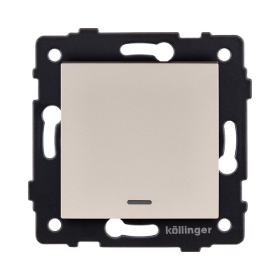 Выключатель Aspekt REA-S-013GD