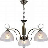 Подвесная люстра  06570-0.4-03 