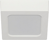 Точечный светильник  LED 20-12-6K 