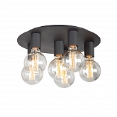 Потолочная люстра  V4969-1/6PL 