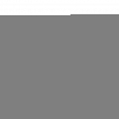 Паяльник  PL-R01-65W 