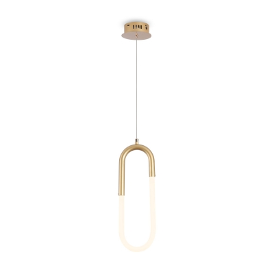 Подвесной светильник Magnet FR6106PL-L13G