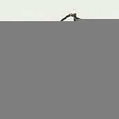 Гирлянда  UDL-S0500-050/DGA WARM WHITE IP20 MINI 