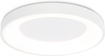 Потолочный светильник ORBITAL FZ1401