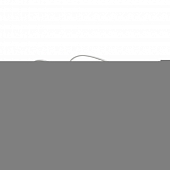 Паяльник  PL-R01-80W 