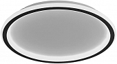 Потолочный светильник Ring 41557 