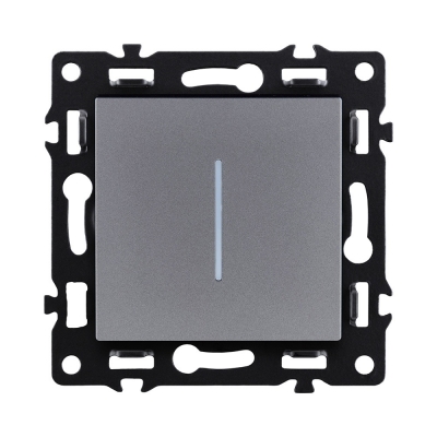 Выключатель Asthetik AS-012GY