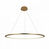 Подвесной светильник Ring 10014L 