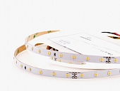 Светодиодная лента  006062 