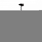 Подвесной светильник LOFT1141 LOFT1141 