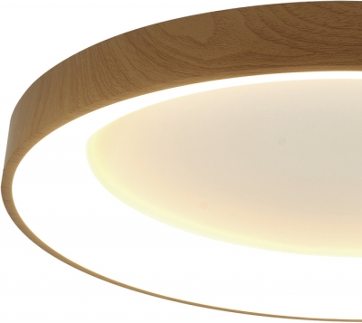 Потолочный светильник Niseko 8586