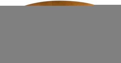 Потолочный светильник JASMIN 36442