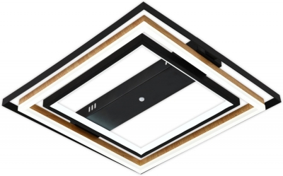 Потолочная люстра Lagom 10249/2LED