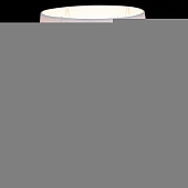 Интерьерная настольная лампа  02113-0.7-01 