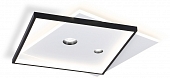 Потолочный светильник COMFORT FL5065 