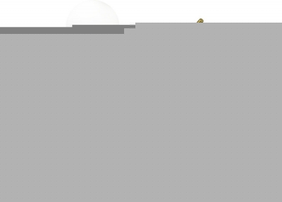 Потолочная люстра Ronny CL242193