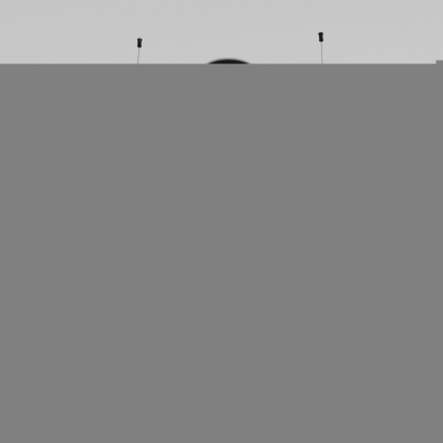 Подвесной светильник Planet 70146/6 черный