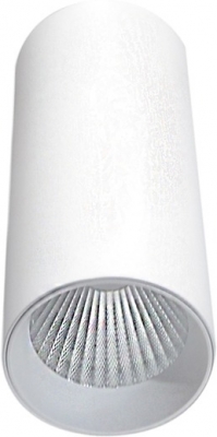 Точечный светильник Rollo DL18895R1W