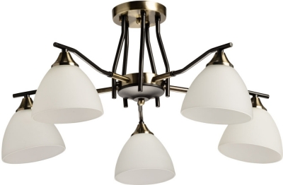 Потолочная люстра Альфа 115010205