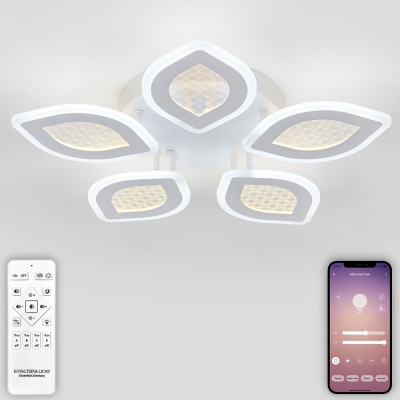 Потолочная люстра  LED LAMPS 81167