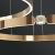 Подвесной светильник  Sellif-B-Ring01