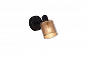 Спот Suspent V11831-1W 