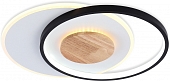 Потолочный светильник COMFORT FL4789 