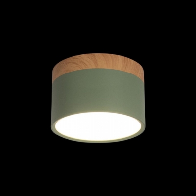 Точечный светильник Grape 10162 Green