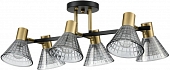 Потолочная люстра Anriya 8044/6C 