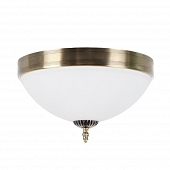 Потолочный светильник Biene MR1527-3C 