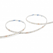 Светодиодная лента  WLS2835-6W/6500/24S60-01 