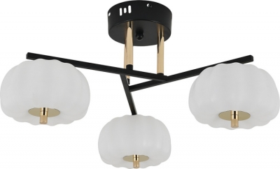 Потолочная люстра Halma 10301/3LED
