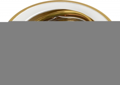 Точечный светильник Roma 221008