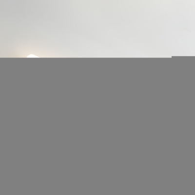 Настенный светильник Тринити CL238591