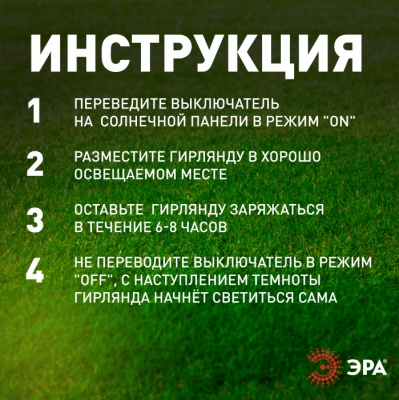 Гирлянда  ERASF22-29