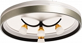 Потолочный светильник Норден 660014901 