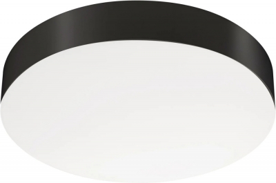 Потолочный светильник  042562