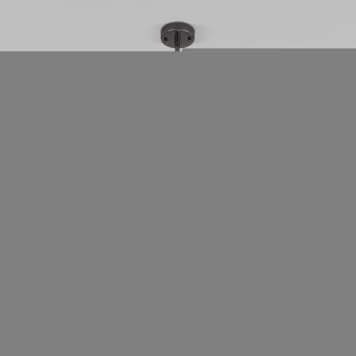 Подвесной светильник Pacific 50255/1 черный жемчуг