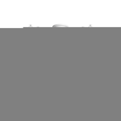 Потолочная люстра SPIDER LOFT1162W/16