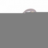 Потолочная люстра  1011.264S 