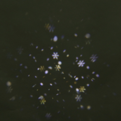 Проектор для лазерного шоу  00328-0.2-01