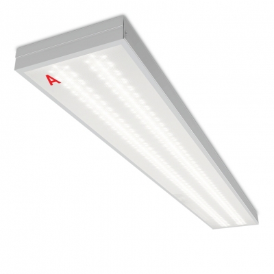 Светодиодная панель STD ДПО11-36-142-5К