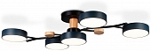 Потолочная люстра Comfort FL4835 