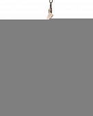 Подвесной светильник  20MD3279-6 